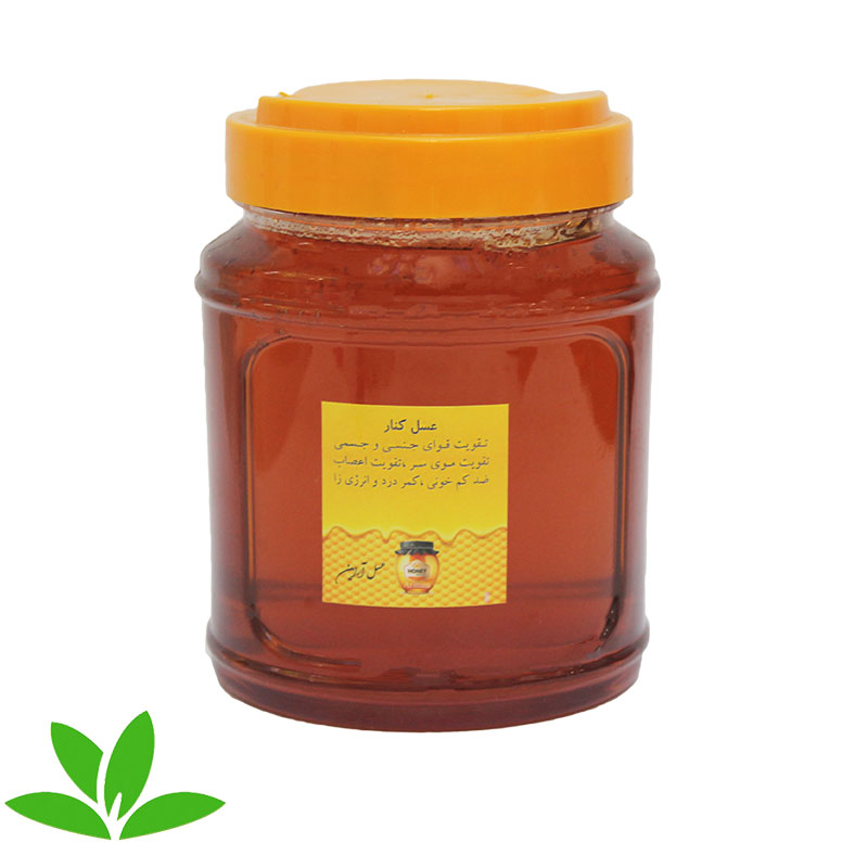 عسل کنار جنوب برای بانوان و آقایان | خداحافظی با خستگی روزانه؛ منبع انرژی طبیعی، نشاط و حمایت آنتی‌اکسیدانی – ۱عددی