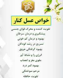 عسل کنار جنوب برای بانوان و آقایان | خداحافظی با خستگی روزانه؛ منبع انرژی طبیعی، نشاط و حمایت آنتیاکسیدانی – ۱عددی