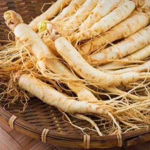 پودر جنسینگ کره‌ای 200گرم | خداحافظی با خستگی روزانه؛ حمایت از انرژی، نشاط و تمرکز با جنسینگ کره‌ای خالص – 200گرم