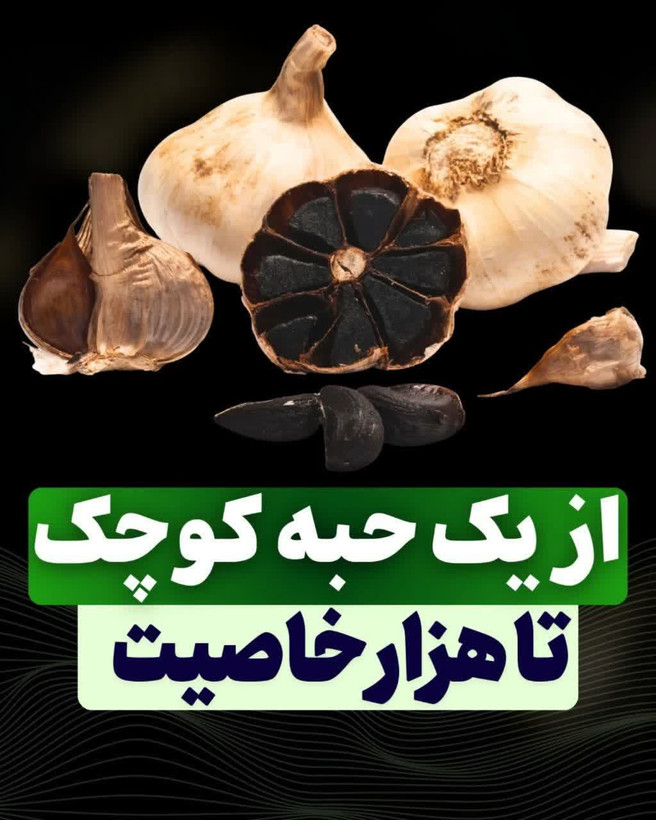 سیرسیاه ژاپنی تخمیری دارای پنج تاییده بهداشتی | خداحافظی با خستگی؛ انرژی و قوای جسمانی مردان با سیر سیاه تخمیری – ۲۵۰گرمی